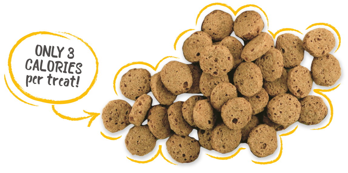 Charlee Bear Grain Free Crunch dog treats - only 3 calories per treat